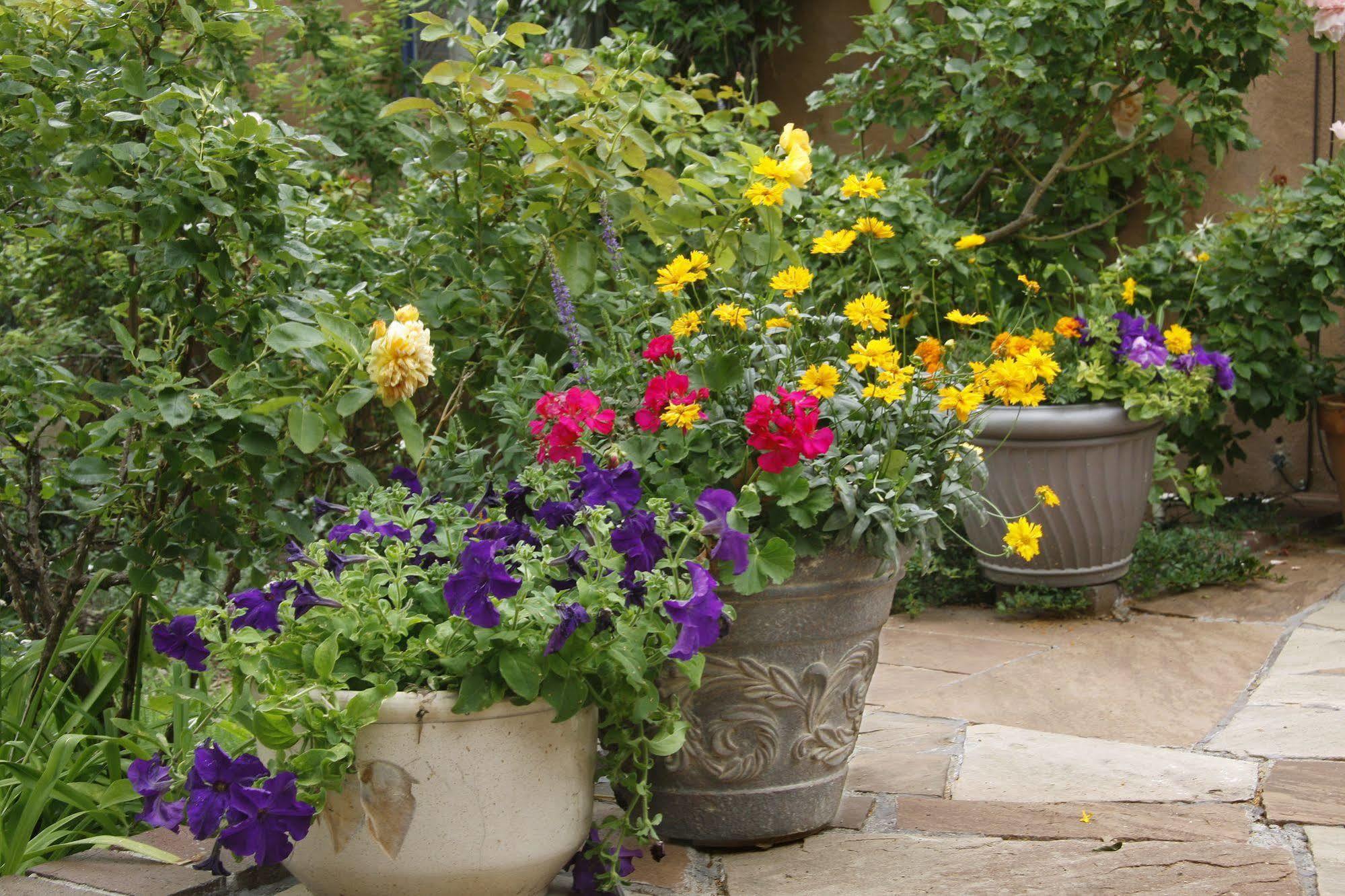 The Madeleine Bed & Breakfast Inn Santa Fe Buitenkant foto